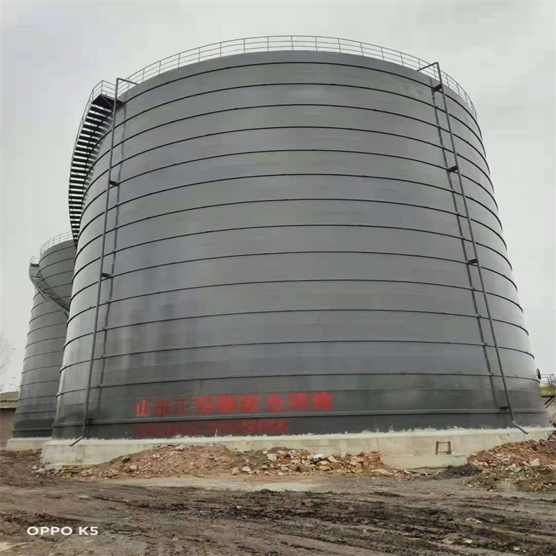 成安3万吨大型钢板库